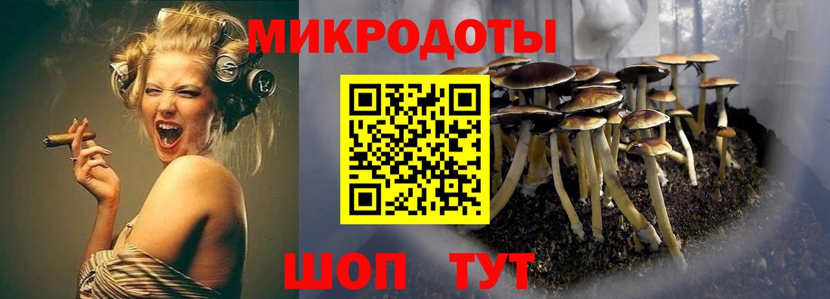 где купить наркоту  Галлюциногенные грибы прущие грибы  Вход с VPN  Малоярославец 